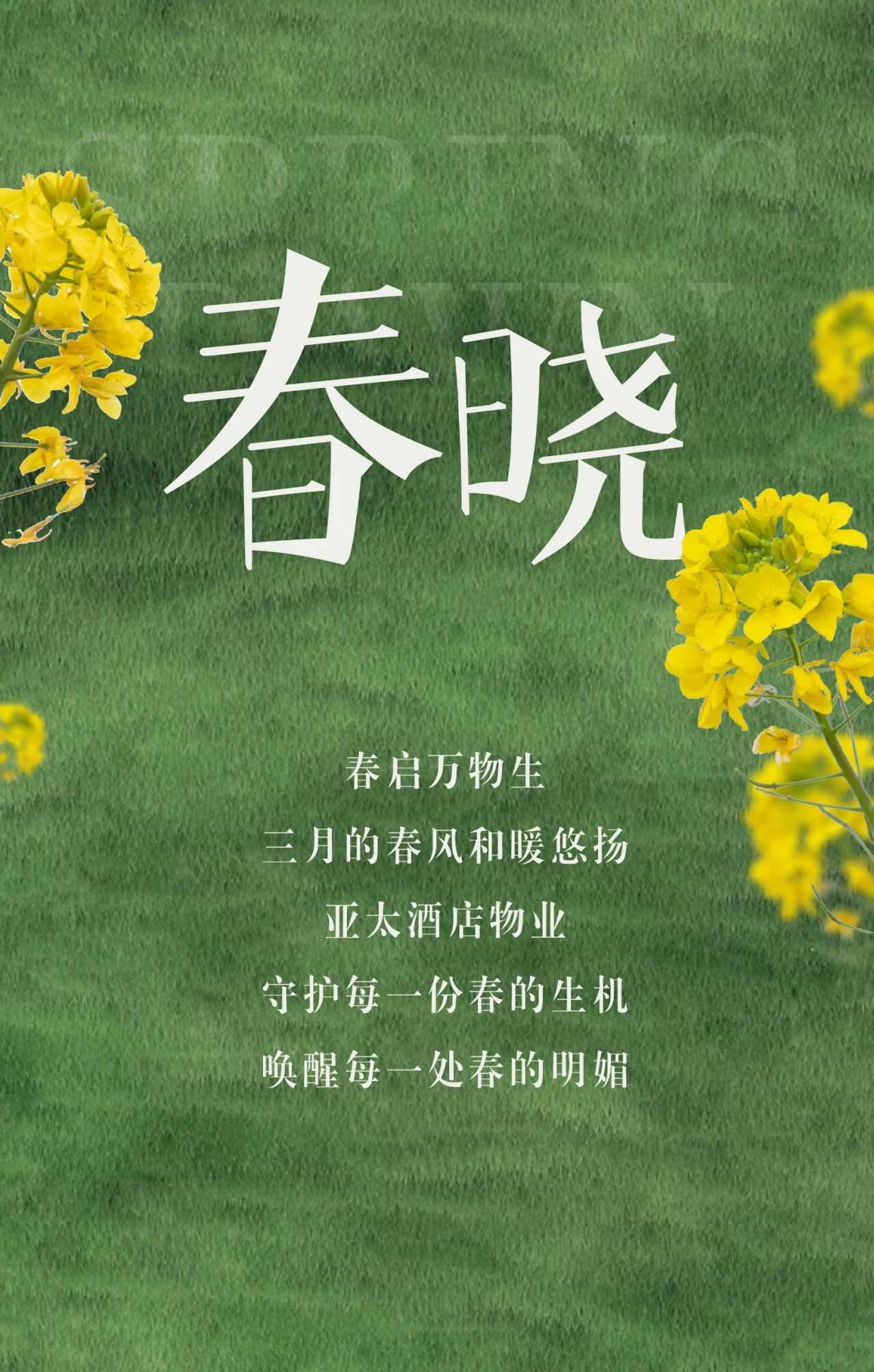 春?jiǎn)⑷f(wàn)物，綻放新生丨亞太酒店物業(yè)